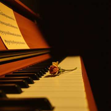 soft piano music 447